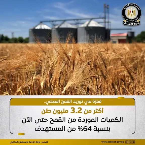 ”الزراعة”: أكثر من 3.2 مليون طن قمح تم توريدها في الموسم الحالي حتى الآن