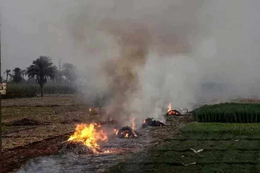سكك حديد مصر تحذر من حرق المخلفات الزراعية قرب القضبان: جريمة تهدد سلامة الأبرياء