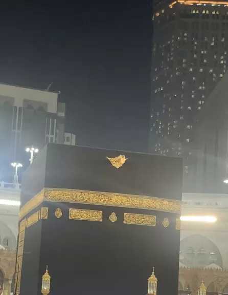 هل ارتداء الكمامة أثناء الإحرام يبطل الفريضة؟.. أمين الفتوى يجيب