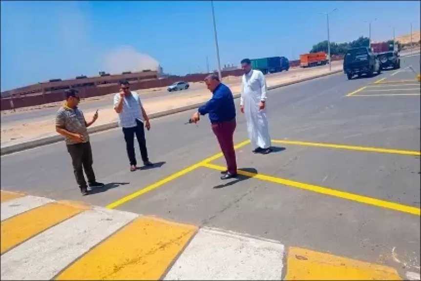للحفاظ على راحة المواطنين.. حملات لمكافحة الحشرات والناموس بأبوزنيمة في جنوب سيناء