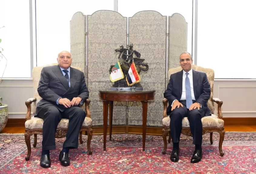 وزير الخارجية: التهدئة والحوار يشكلان الخيار الوحيد لتجنب سيناريو الفوضى الإقليمية