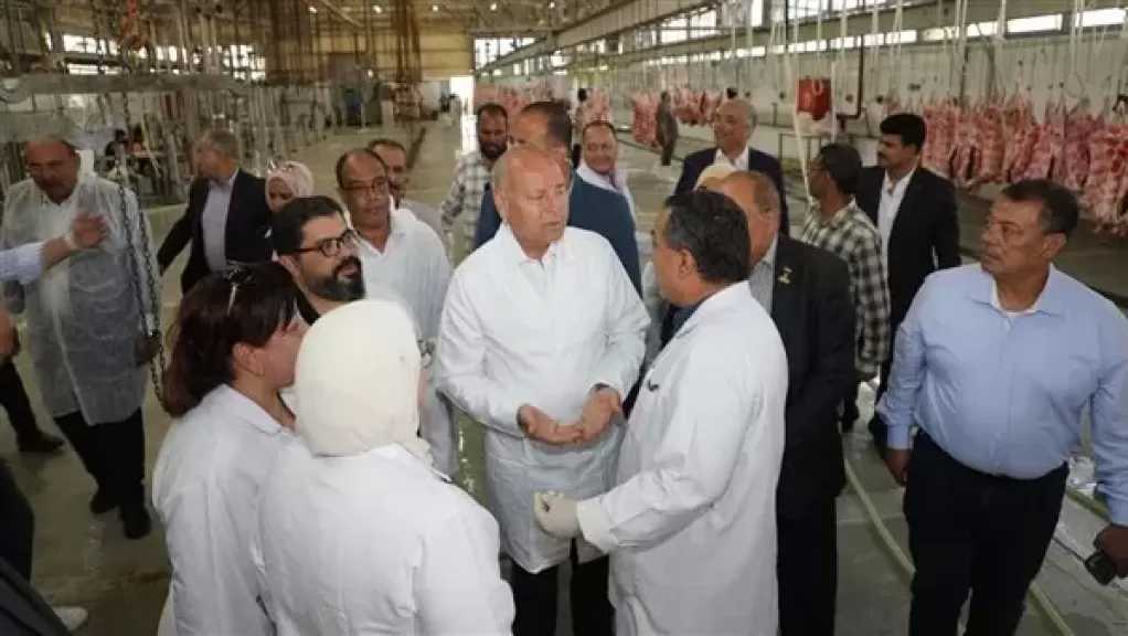 رفع درجة الاستعداد بمجازر القاهرة.. والمحافظ يتفقد مجزر 15 مايو
