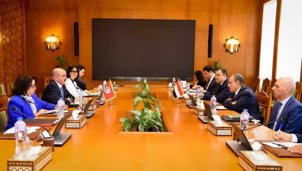 وزير الخارجية يترأس مع نظيره التونسي جولة لآلية التشاور السياسي بين مصر وتونس