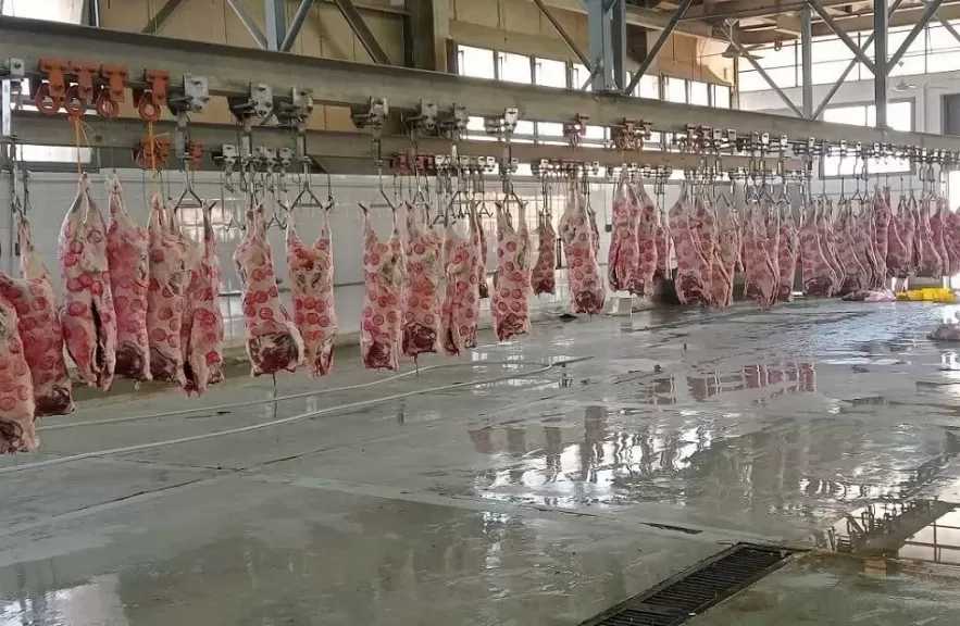 فتح مجازر قنا مجانا للمواطنين والجمعيات الأهلية طوال أيام عيد الأضحى