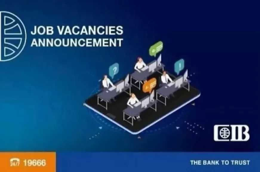 وظائف خالية في البنك التجاري الدولي CIB لحديثي التخرج.. الشروط وطريقة التقديم