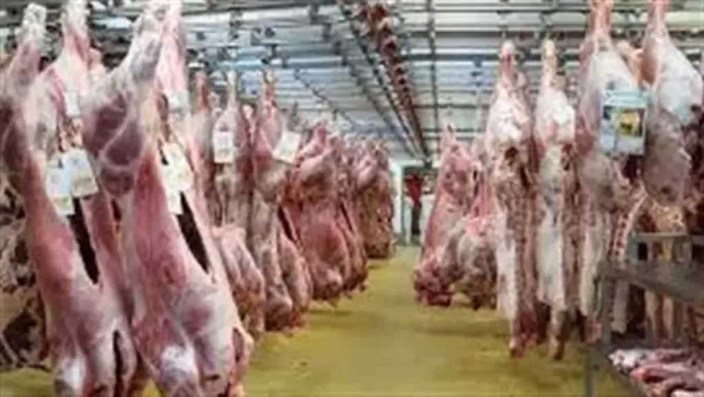 لماذا يجب ترك الذبيحة معلقة في الهواء بعد السلخ؟.. رئيس قطاع التجارة الداخلية السابق يُجيب