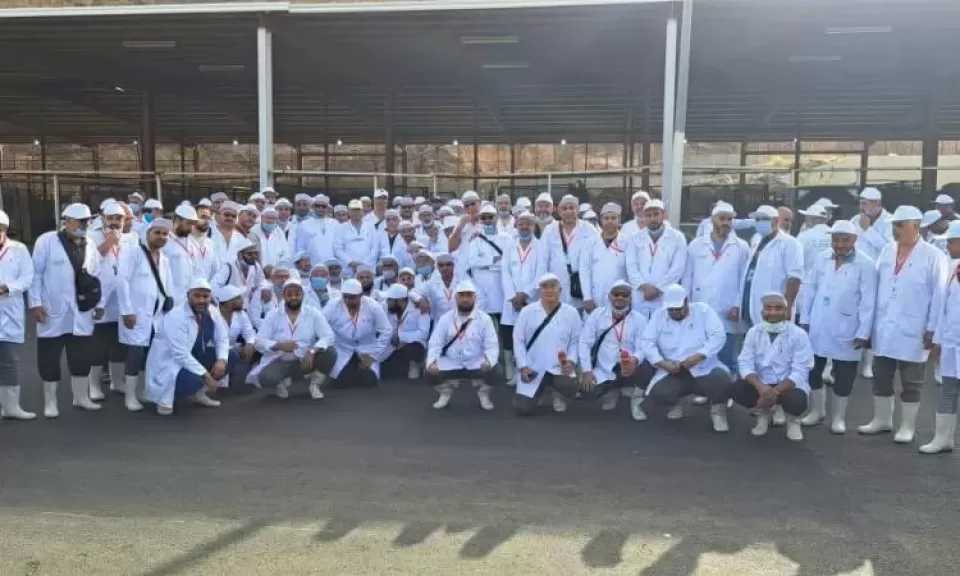 الزراعة تعلن بدء أعمال البعثة المصرية للإشراف على الهدي والأضاحي بالسعودية