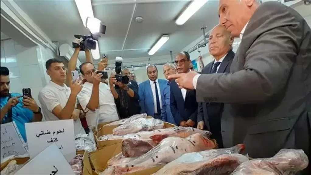 محافظ القاهرة يتفقد الشركة المصرية للدواجن واللحوم بعين الصيرة