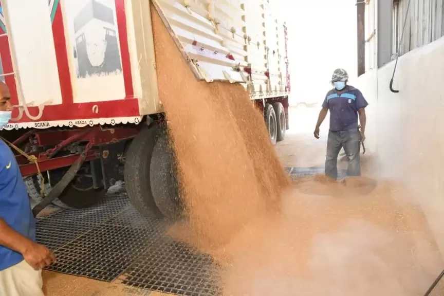 محافظ الدقهلية: توريد 262 ألف طن قمح إلى مواقع التخزين والصوامع بالمحافظة