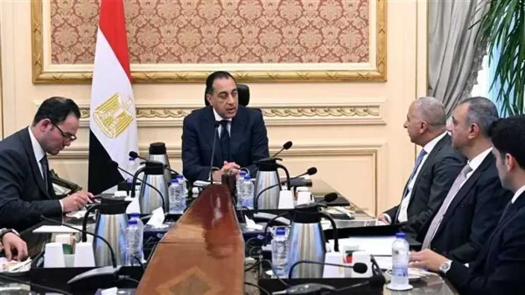 مدبولي يبحث مع رئيس شركة السويدي إلكتريك خطة توسعات الشركة