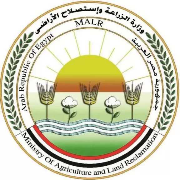 الزراعة تعلن طفرة في صادراتنا من الخيول إلى الأسواق الأوروبية والعربية