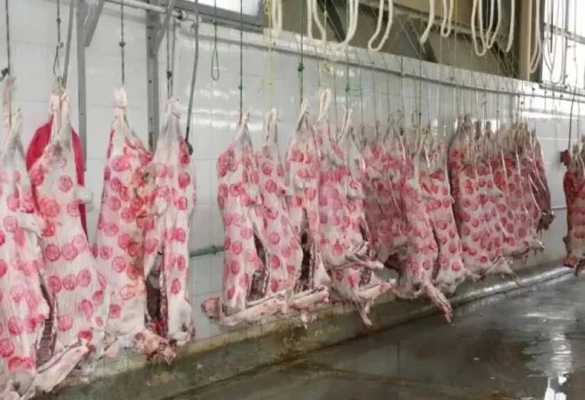 التموين: منع الذبح خارج المجازر خلال العيد.. واللحوم بالمنافذ أقل 30% من السوق