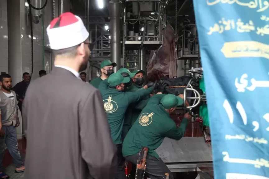 بيت الزكاة والصدقات يبدأ ذبح الأضاحي لتوزيع لحومها على الأسر الأولى بالرعاية والأكثر احتياجًا