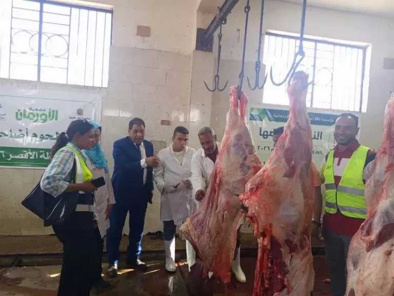 ذبح 40 عجلًا مجانًا بمجازر الأقصر خلال أول أيام عيد الأضحى.. وتوزيع اللحوم على 8 آلاف أسرة