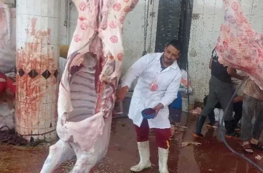 استمرار استقبال أضاحي المواطنين بالمجان في المجازر الحكومية طوال عيد الأضحى
