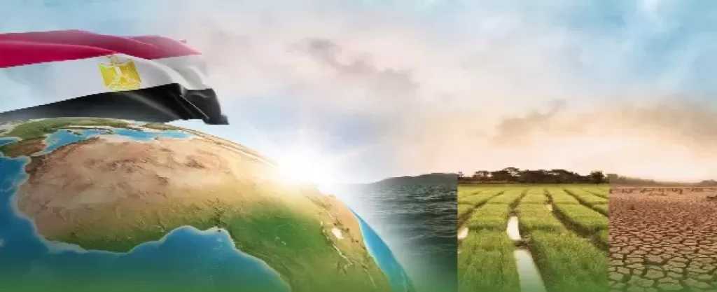 مصر وإفريقيا.. شراكة شاملة فى التنمية وتحقيق السلام والأمن بالقارة السمراء|إنفوجراف