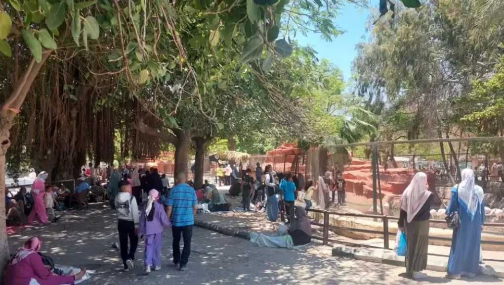 إقبال ملحوظ على حديقة حيوان الإسكندرية في ثاني أيام عيد الأضحى