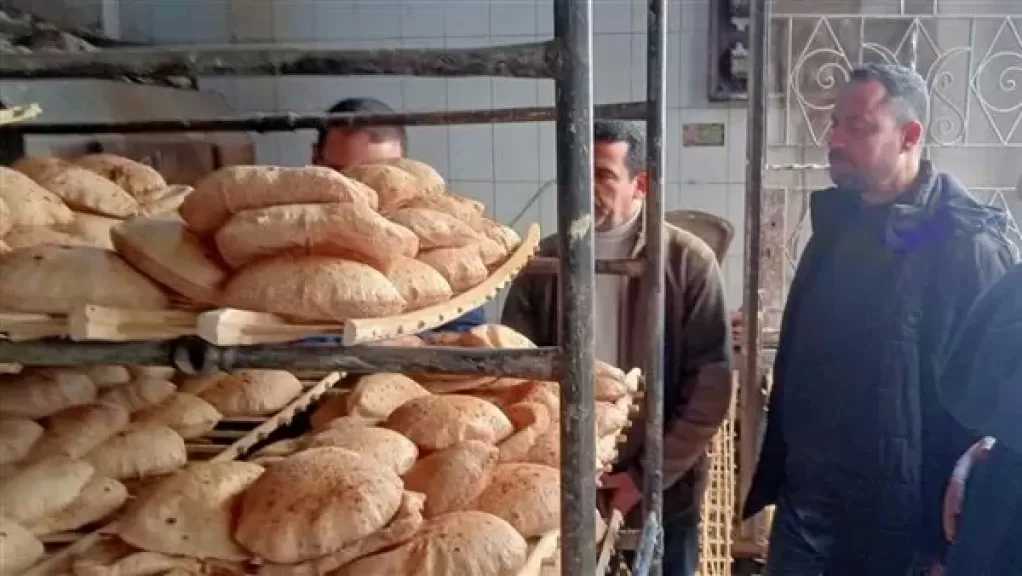 التموين: استقرار كامل للأسواق وتحرير 4416 مخالفة خلال أيام عيد الأضحى