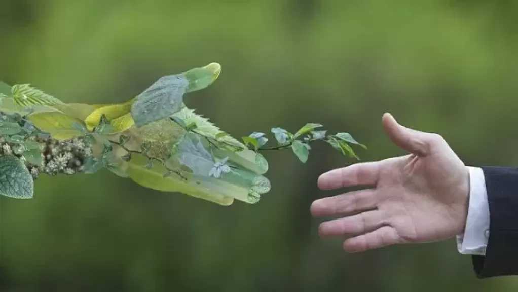 التحول الأخضر في مصر.. من التزام بيئي دولي إلى أداة لتعزيز التنمية المستدامة