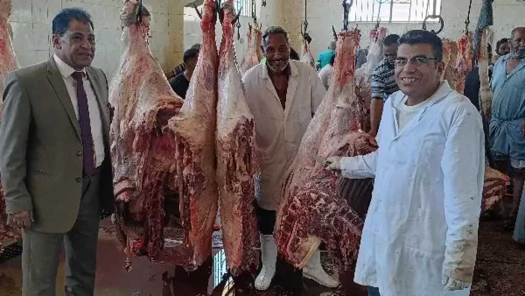 بيطري الأقصر: نحر 180 عجلًا وتوزيع لحومها مجانًا على 36 ألف أسرة