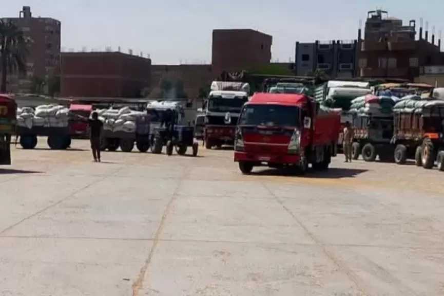 توريد 170 ألف طن قمح في سوهاج ورفض 2150 طنا غير مطابق للمواصفات