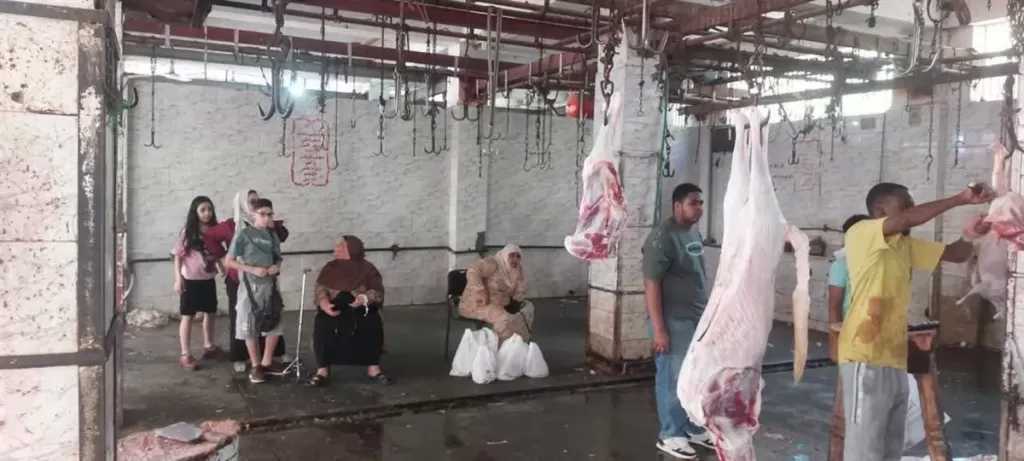الزراعة: ذبح 35 ألفا و514 أضحية بالمجازر الحكومية مجانا للمواطنين خلال عيد الأضحى