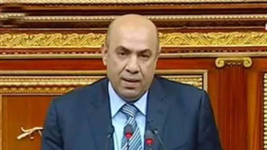 النائب علاء عبدالنبي يطالب بتعديلات دستورية تمنح مجلس الشيوخ صلاحيات أوسع في التشريع والرقابة