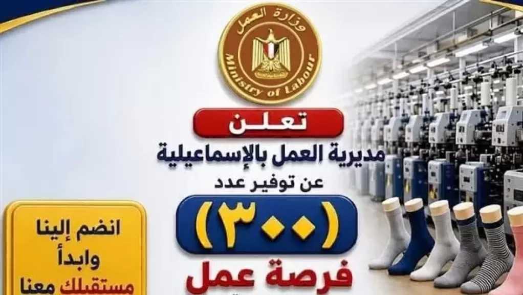 وزارة العمل تعلن عن وظائف جديدة للشباب بقطاع الغزل والنسيج بالإسماعيلية