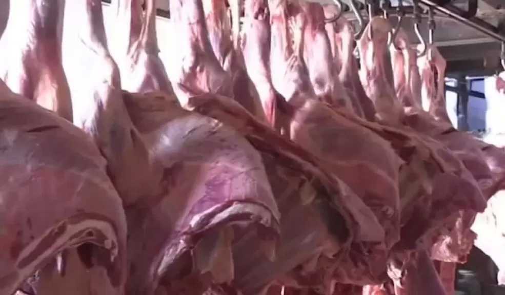 جهاز تنظيم إدارة المخلفات: نحو 200 ألف أضحية سنويا تُذبح خارج المجازر الرسمية.. وهذا لا نشجعه
