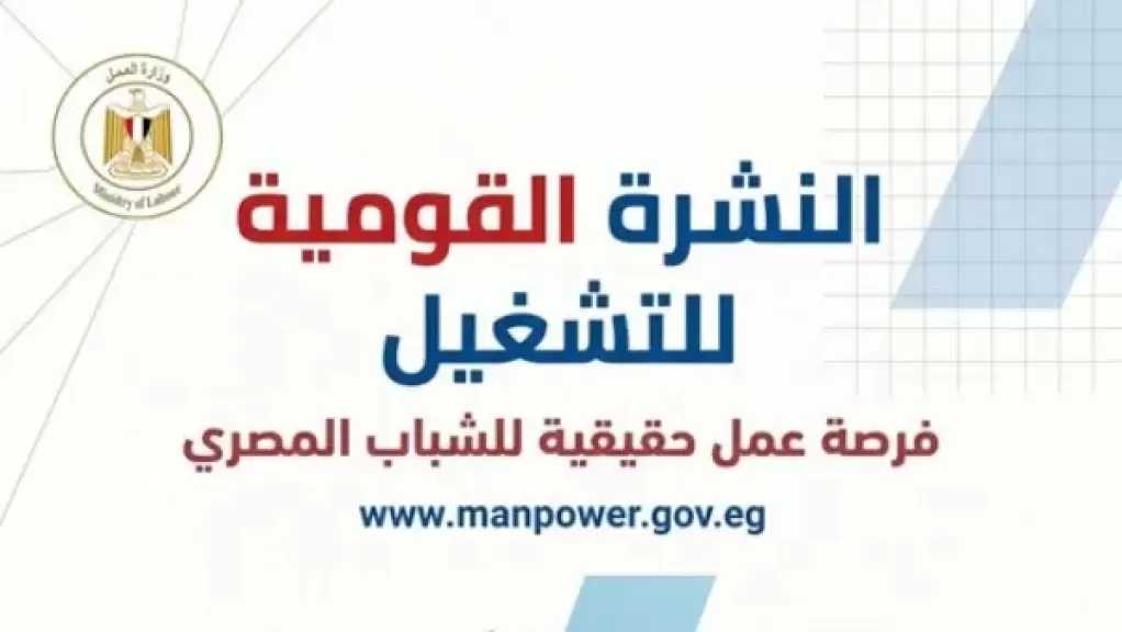 4504 فرص عمل في 14 محافظة خلال يونيو.. تفاصيل
