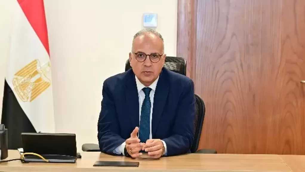وزير الري يبحث مع عدد من الشركات المشروعات التنموية بدول حوض النيل الجنوبي