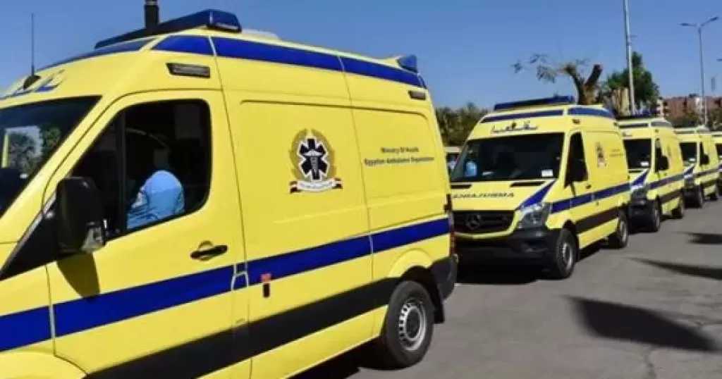 مقتل شخص على يد نجل خالته في الهرم