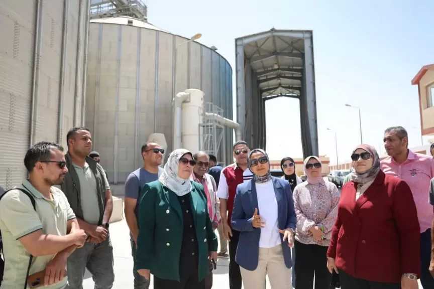 محافظ الوادي الجديد: توريد أكثر من نصف مليون طن قمح حتى الآن