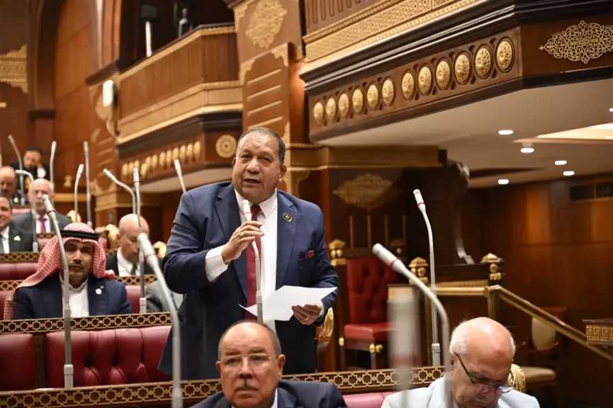 برلماني: زيادة المعاشات بنسبة 15% ترجمة حقيقية لسياسات الرئيس السيسي الداعمة للفئات الأولى بالرعاية
