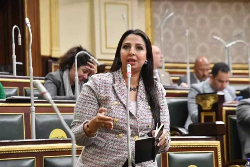 النائبة نشوى الشريف: مشروع قانون الأحوال الشخصية للحكومة يفتقر للآليات التنفيذية على الأرض