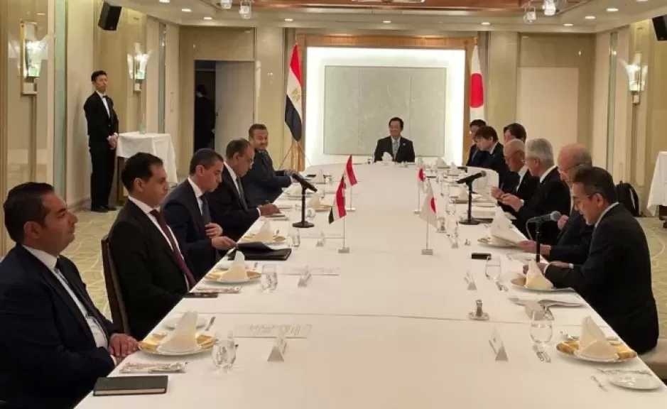 وزير الخارجية: نسعى لزيادة الاستثمارات اليابانية وإنشاء منطقة صناعية بقناة السويس