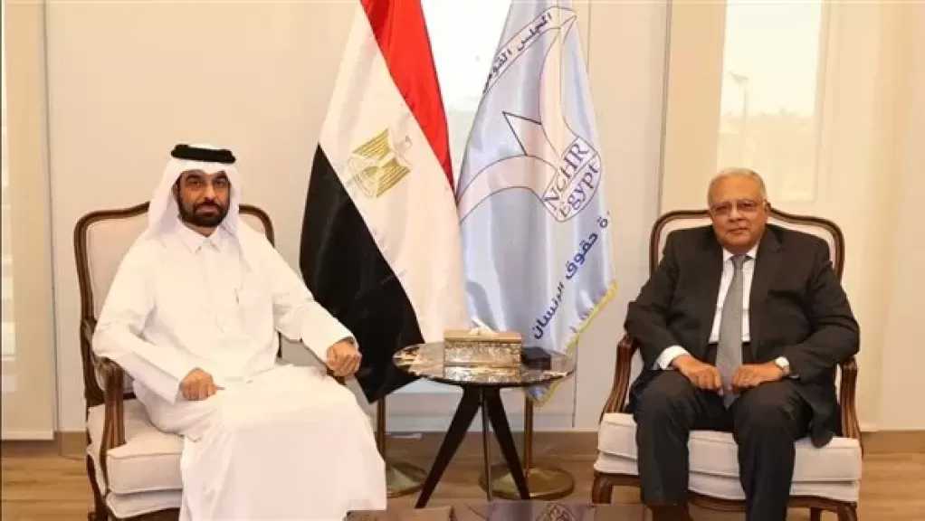 رئيس «القومي لحقوق الإنسان» يبحث مع أمين «الشبكة العربية» تعزيز التعاون المشترك