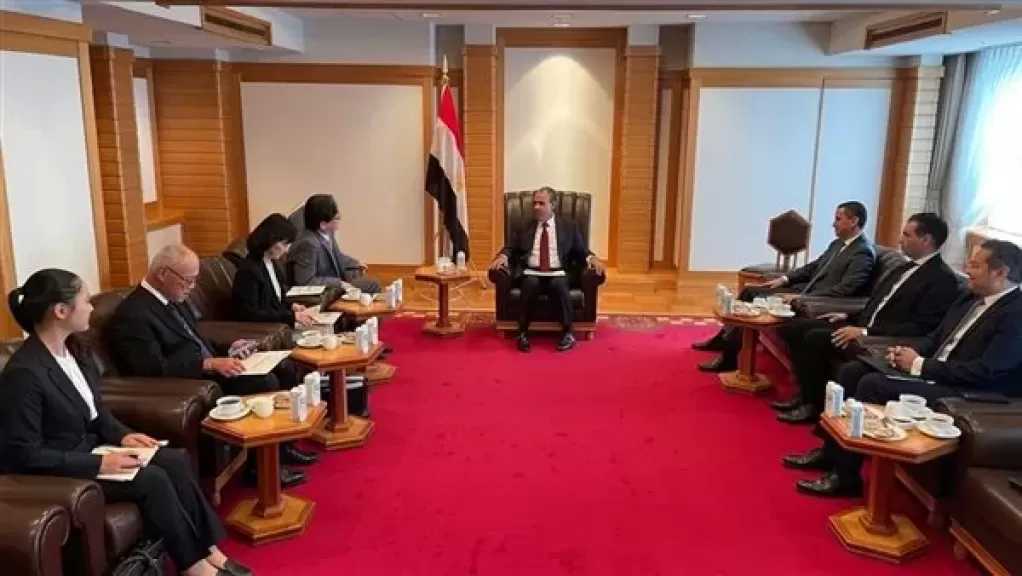وزير الخارجية: مصر شهدت تطورا كبيرا في الاقتصاد والبنى التحتية