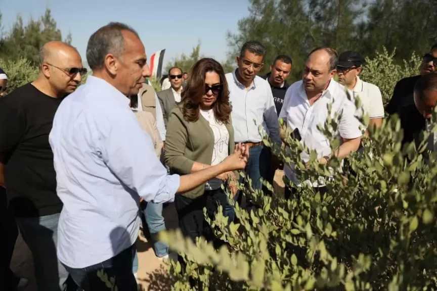 في إطار الاحتفال باليوم العالمي للبيئة 2026: وزيرة التنمية المحلية والبيئة تقوم بزيارة ميدانية لمحافظة البحر الأحمر