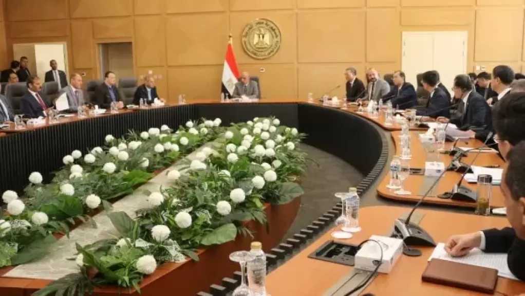وزير الكهرباء يبحث مع وفد صيني دعم التعاون فى مجال الطاقة المتجددة