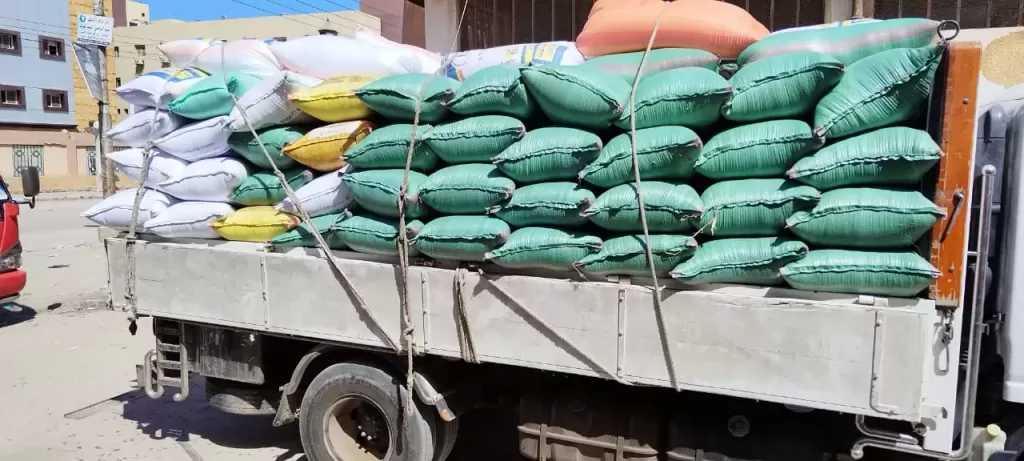 توريد 658 ألفا و682 طنا للصوامع في موسم حصاد القمح بالشرقية