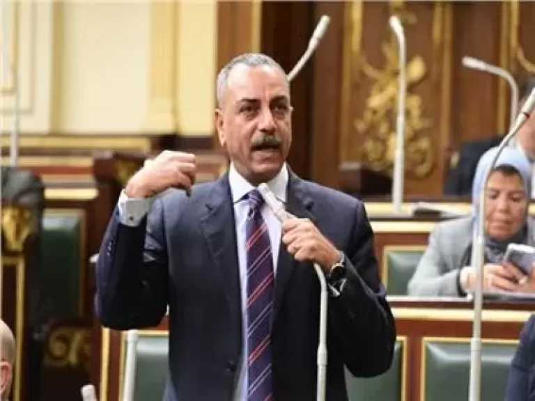 إيهاب الطماوي: 13 جلسة استماع حول مشروع قانون الأسرة الجديد بالقومي لحقوق الإنسان بداية من الأسبوع المقبل