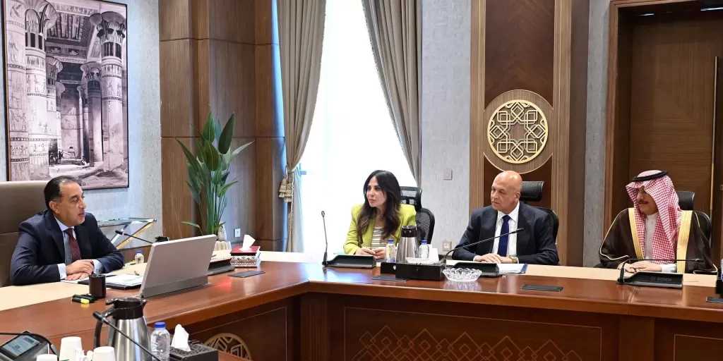 رئيس الوزراء يكلف بعرض الصورة النهائية لمبادرة تشجيع تركيب ألواح الطاقة الشمسية في المصانع والمنازل