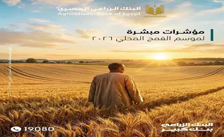 مؤشرات مبشرة لموسم القمح المحلي 2026.. البنك الزراعي المصري يستقبل 680 ألف طن قمح خلال شهر