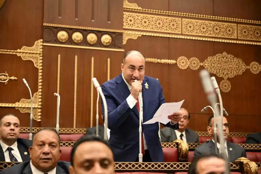 النائب عمرو رشاد: خطة التنمية تأتي في ظرف اقتصادي عالمي صعب وتتطلب مرونة في التنفيذ