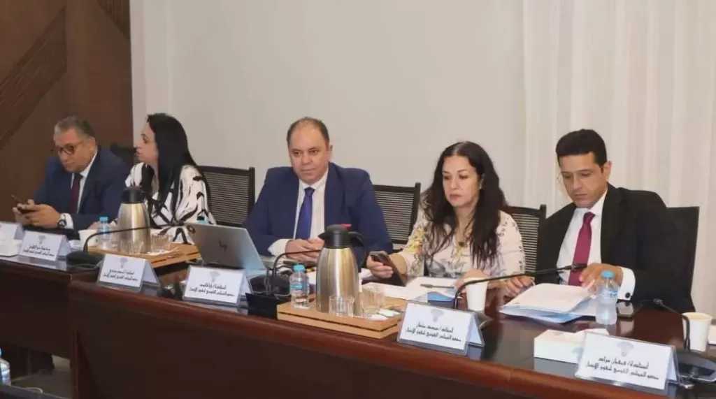 المجلس القومي لحقوق الإنسان يوافق على إنشاء لجنة لحقوق الإنسان في الفضاء الرقمي