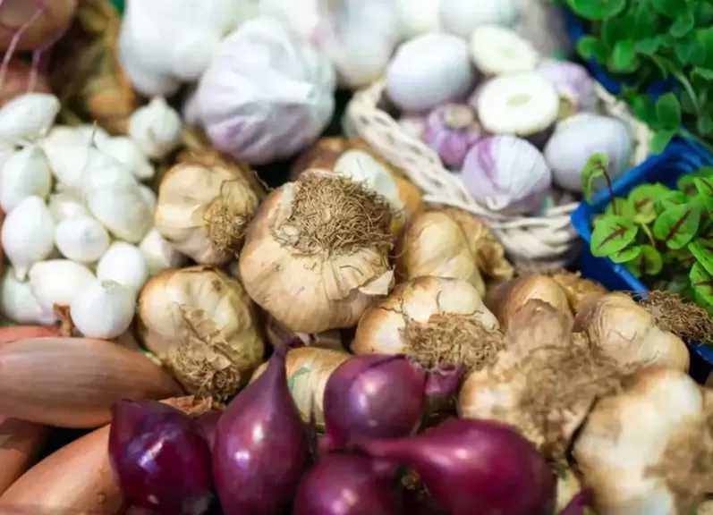 نقيب الفلاحين: مزارعو وتجار البصل الثوم تكبدوا خسائر كبيرة بسبب تدني الأسعار