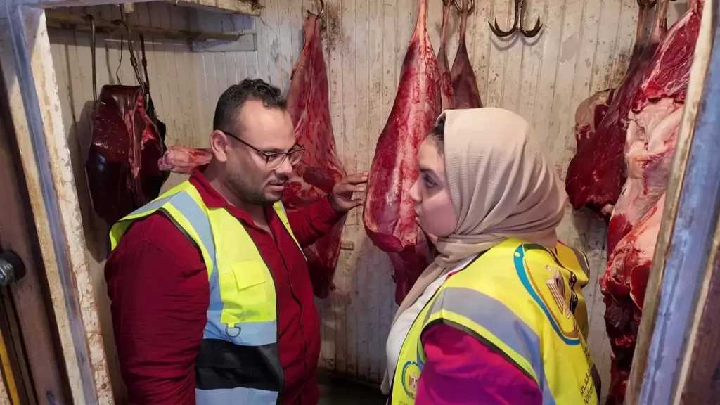 ضبط 1.5 طن أسماك غير صالحة و322 كيلو لحوم ومواد غذائية بكفر الشيخ.. صور