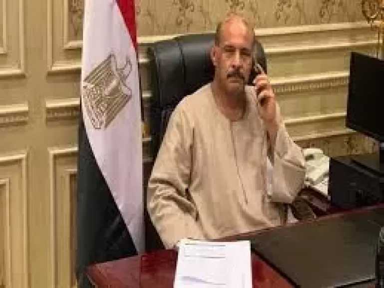 عضو لجنة الزراعة بالنواب: لا توجد مشاكل بقطاع الدواجن.. وفرحان علشان الناس الغلابة تاكل