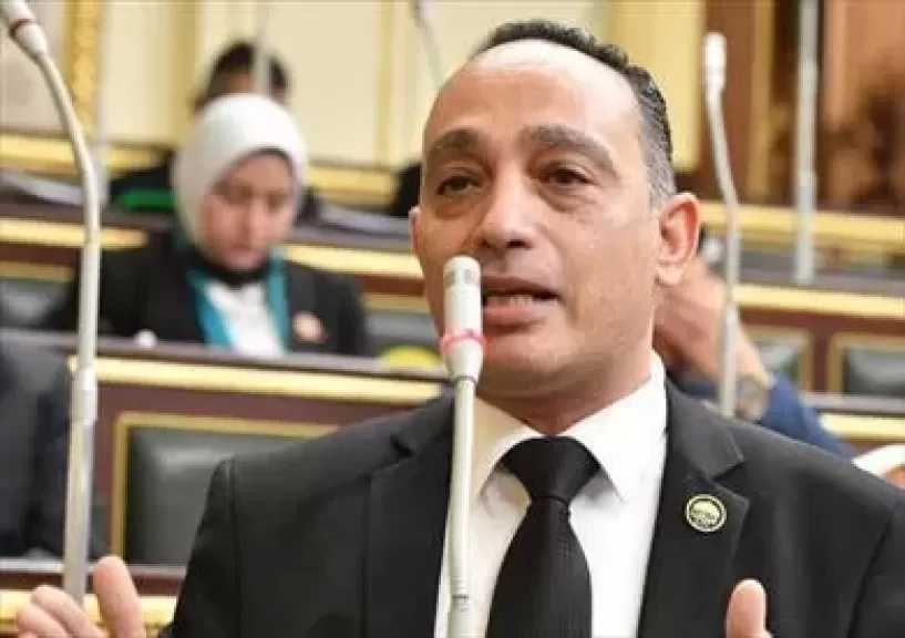 النائب فريدي البياضي: أزمة العدادات الكودية مستمرة والحكومة تعمل دون تنسيق